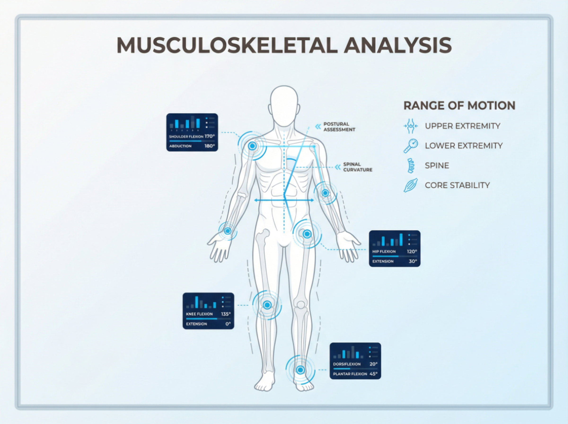 Musculoskeletal Analysis